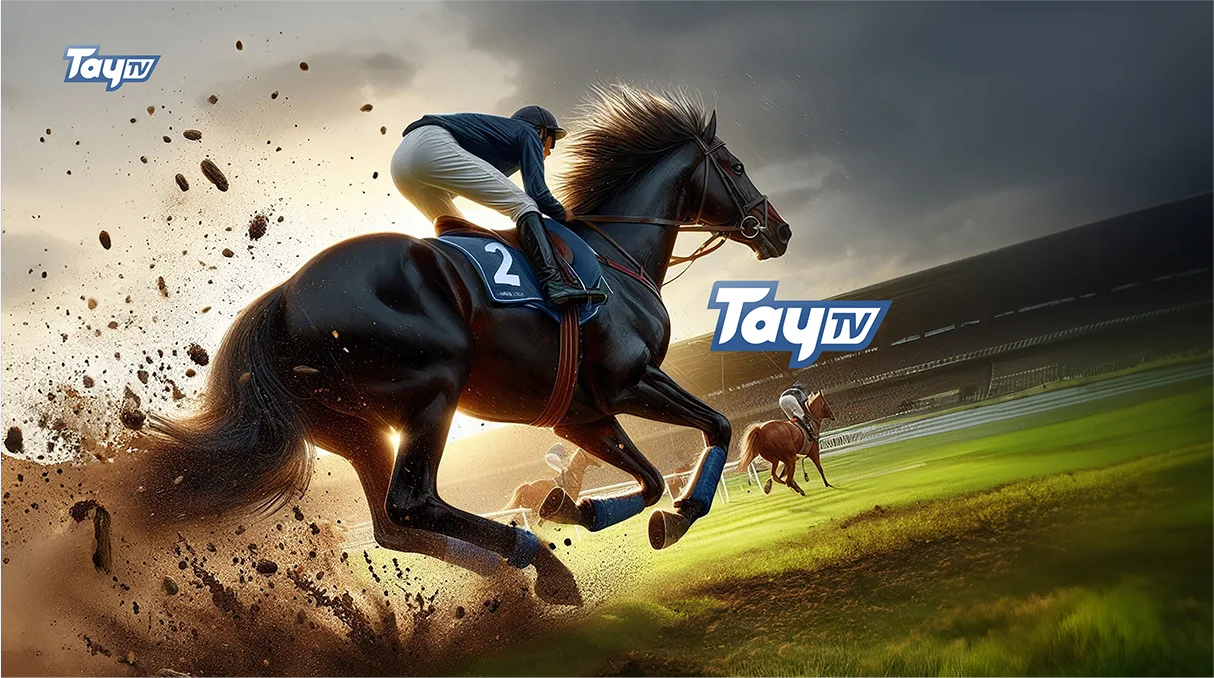 Tay TV